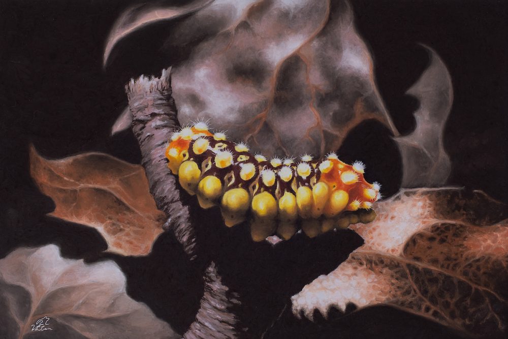 painting of a yellow and orange caterpillar on fall leaves