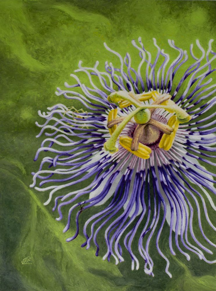 painting of a passionflower