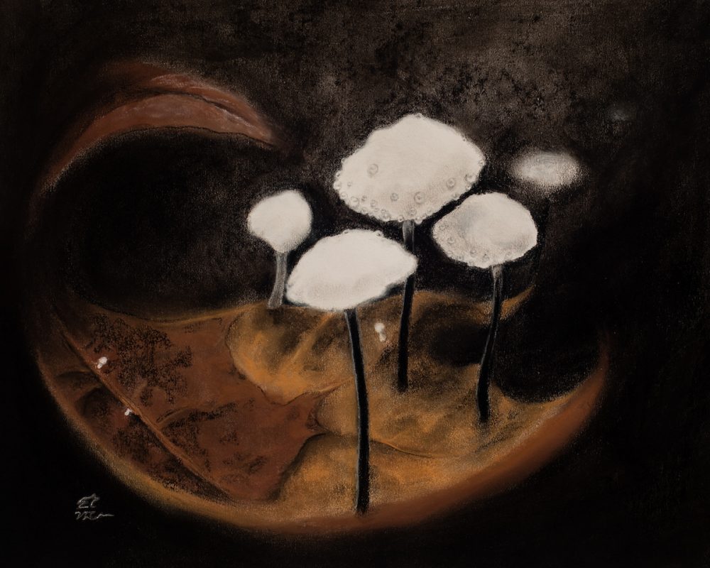 pastel painting of five small white mushrooms growing on an oak leaf