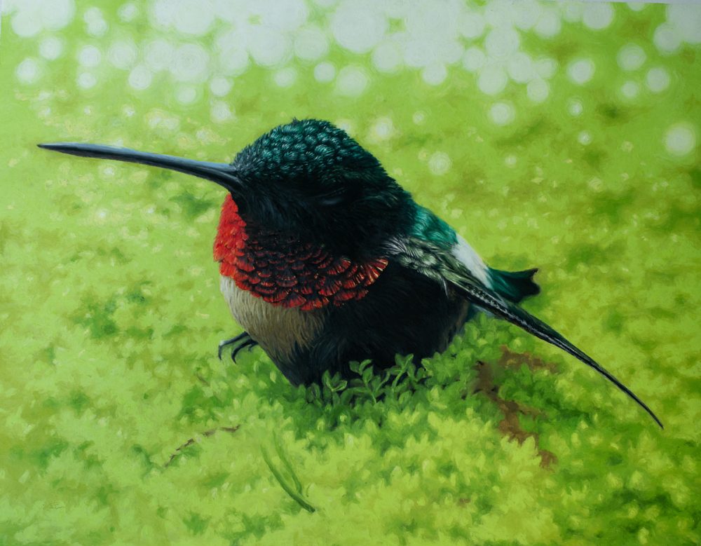 painting of hummingbird at rest